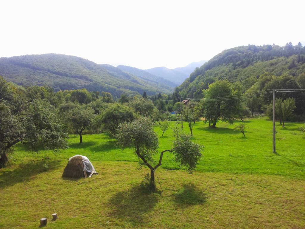 Pensiunea Elena Vistisoara Quarto foto