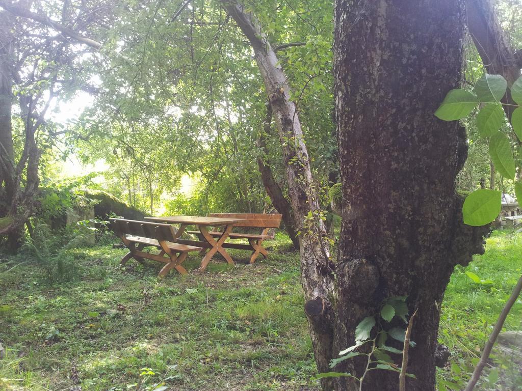 Pensiunea Elena Vistisoara Quarto foto